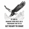 Eagle-flying-mountains-god-nest-shaking-soar